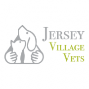 jersey-village-vets